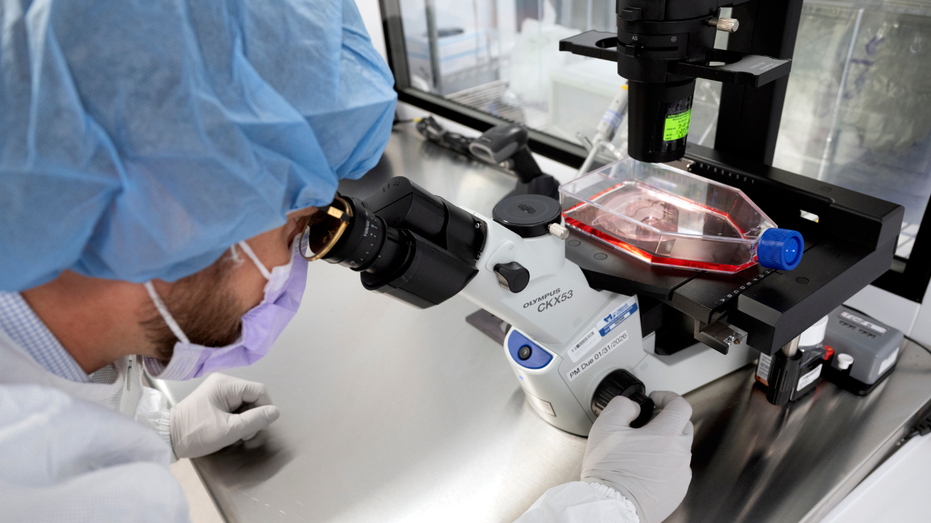 How AI could transform cancer treatment and medicine