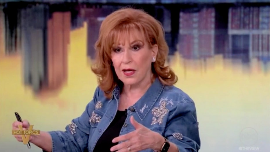 'The View' melts down over latest Biden book, slams CNN for 'hawking' it