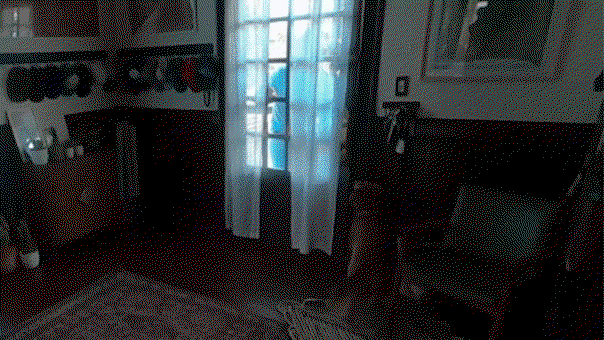 WATCH: Artemis II astronaut Christina Koch reunites with dog after 10 days in space